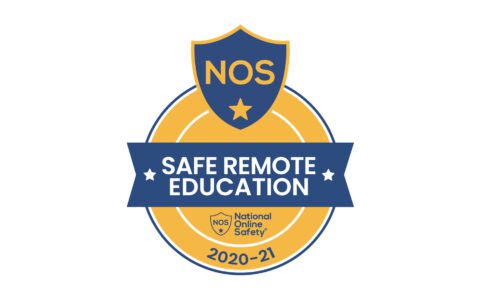 National Online Safety accreditation