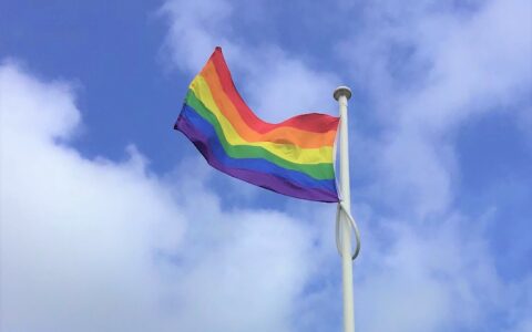 Celebrating School Diversity Week