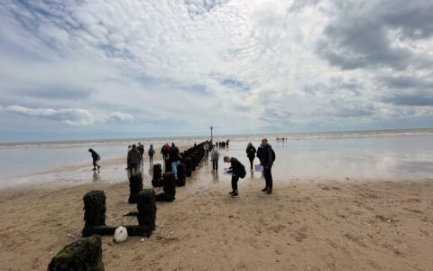 Year 10 geography field trip