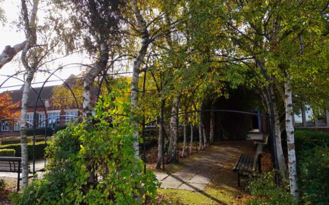 Autumn at QEA