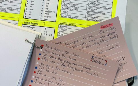 Year 7 French revision resources