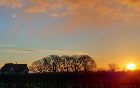 A new half term begins at QEA