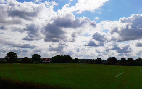 Year 11 newsletter: 26 April 2024