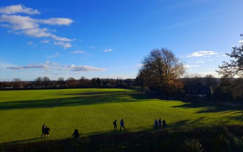 Year 11 newsletter: 19 April 2024